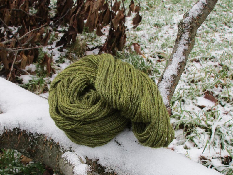 /'Fernwood/' 100/% Lincoln X wool Hand dyed Yarn DK weight 2 ply