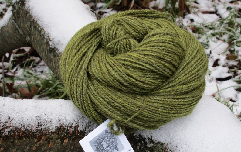 /'Fernwood/' 100/% Lincoln X wool Hand dyed Yarn DK weight 2 ply