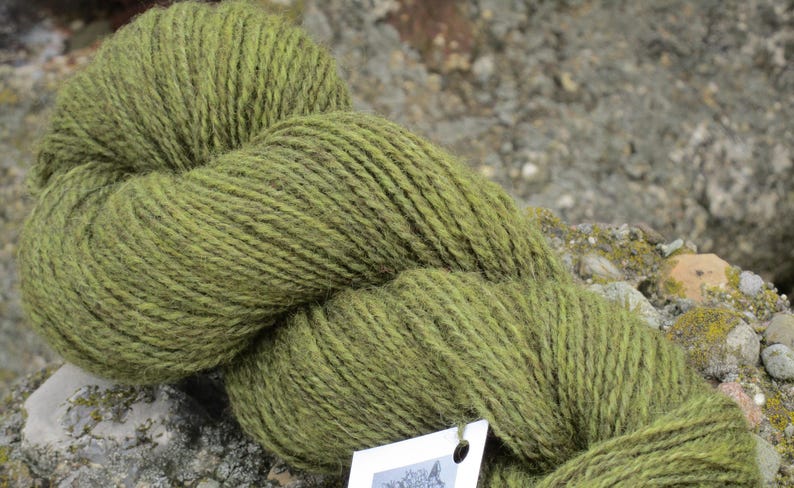 /'Fernwood/' 100/% Lincoln X wool Hand dyed Yarn DK weight 2 ply