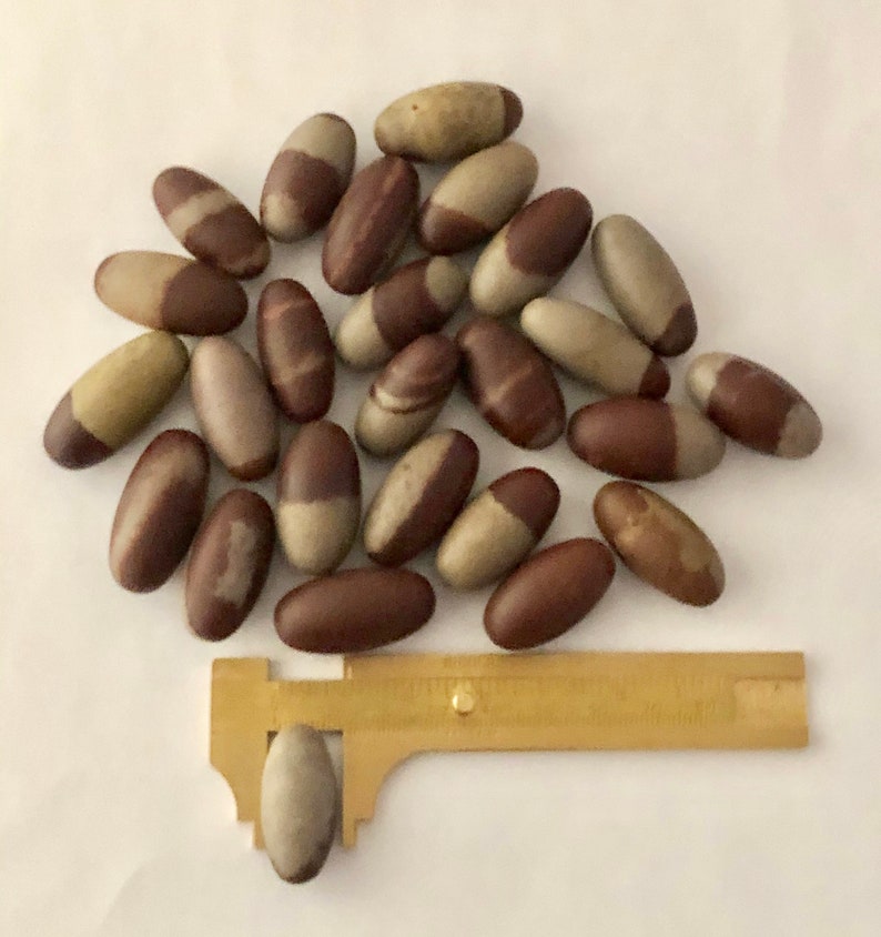 Polished Shiva Lingam Stone Cryptocrystalline Quartz For Energy 