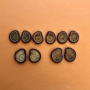 May include: Ten fossil ammonite pendants with brown beaded edges are arranged on a peach-colored surface. The ammonites display intricate spiral patterns in shades of brown and tan. The beaded borders add a decorative touch to the ancient fossils.