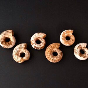Rustic Douvilleiceras Fossil Ammonite: Beige & Brown Jewelry Pendant