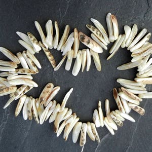 Puede incluir: Una hebra de cuentas de concha blanca y marrón, cada cuenta es larga y estrecha, parecida a un diente. Las cuentas están dispuestas en forma de corazón sobre un fondo gris oscuro.