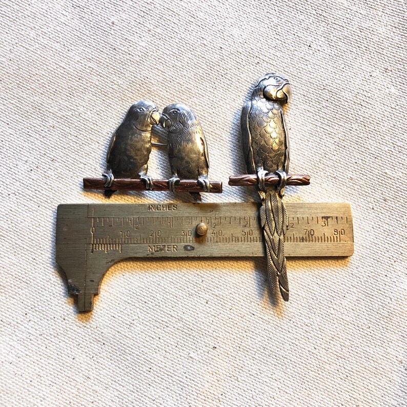 Parrot Ruler Handmade Sterling Silver Bird Brooch, Macaw or Lovebird on Copper ...