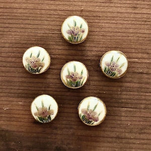 Antique Japanese Meiji Period Satsuma Iris Button Set Of Six Pieces With Shank