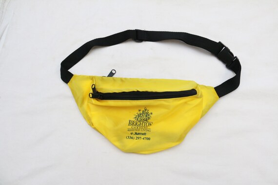 brighton fanny pack