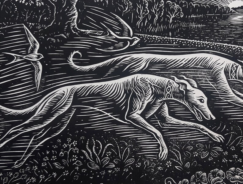 May include: Black and white woodcut print of two greyhounds running through a field of flowers. The dogs are in mid-stride, with their legs extended and their tails wagging. The background is a field of flowers, with a forest in the distance.