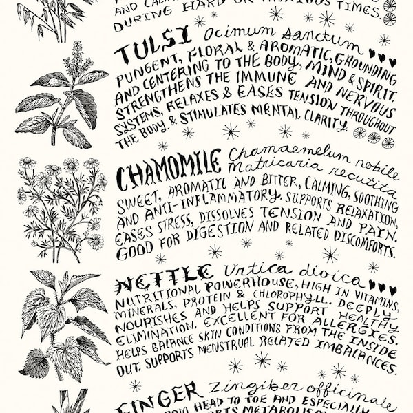 Tea & Infusion Herbs poster