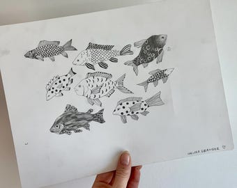 Original Fish Pencil Drawing 9x12