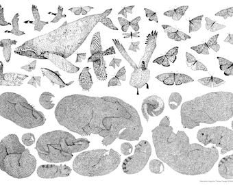 Imperfect Hibernation/Migration Animal Poster Print