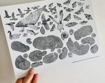 Animal Art Print