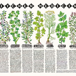 KÜCHE MEDIZIN POSTER