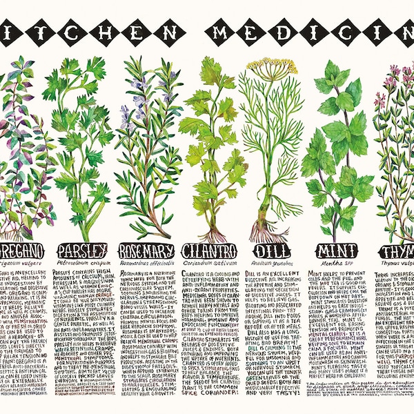 Impresión de póster de hierbas de cocina