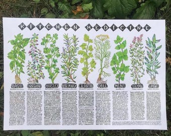 Kitchen Herbs Poster Print