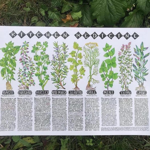 Kitchen Herbs Poster Print