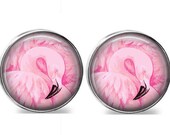 SET Of 2 Gorgeous Pink Flamingo Beach Coastal Nautical Nickel Silver GLASS Cabinet Drawer Bifold Bi Fold Closet door Knob Pulls