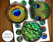 SET Of 2 Your CHOICE Peacock Feathers Blue Green Yellow Silver Nickel GLASS Cabinet Drawer Closet Door Knob Pull Handles - More Available