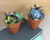 Book Page Succulents potted plant pair