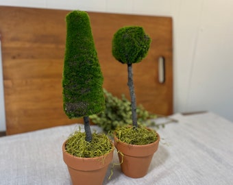 May include: Two decorative topiary trees in terracotta pots. One is cone-shaped, the other is round. Both have dark green moss-like foliage and sit on a bed of green moss. The pots are filled with green moss and sit on a light gray surface.