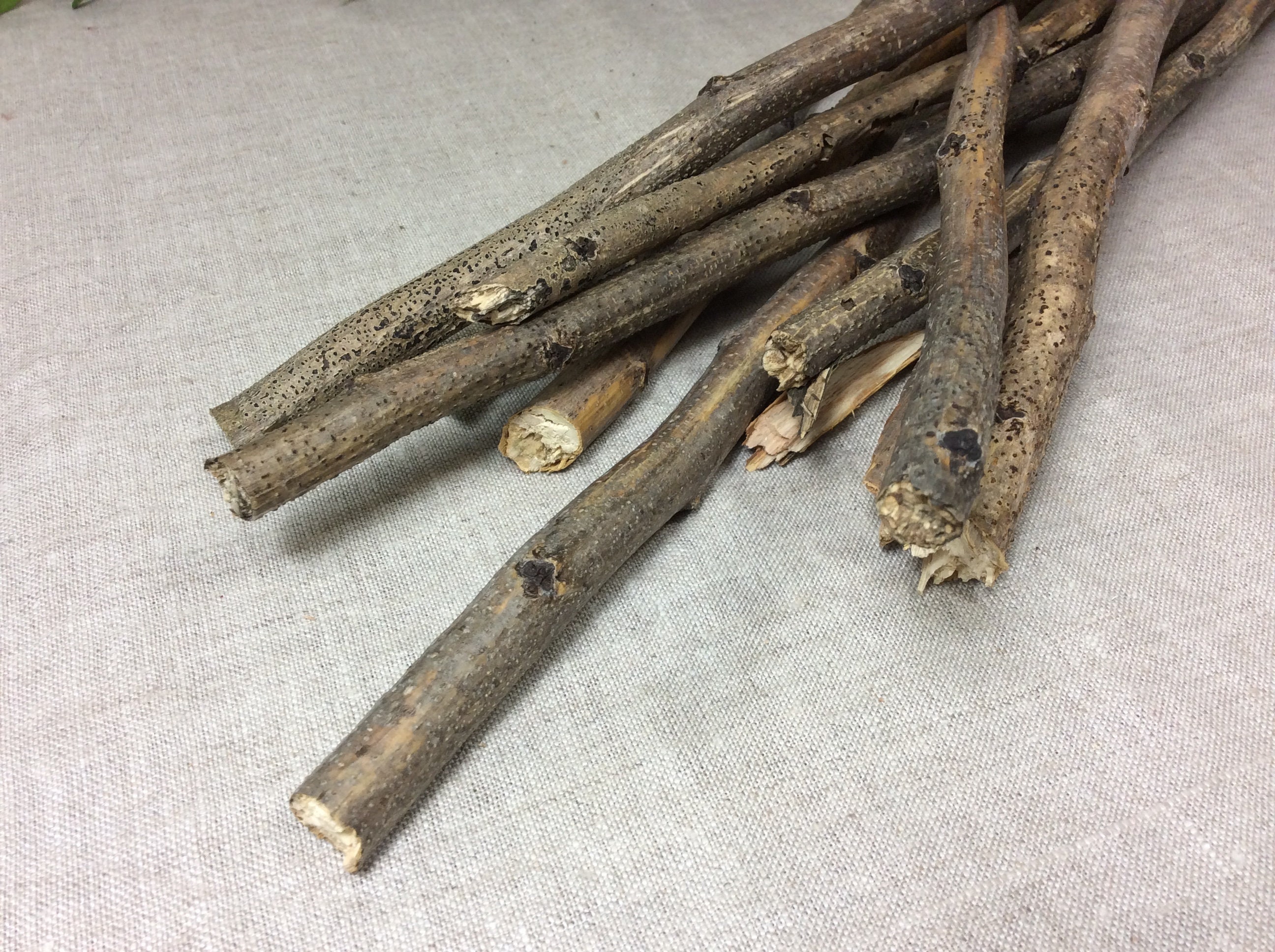 Branches twigs Floral Decor craft 12"-16" 1/2 rustic bunch sticks long  straight