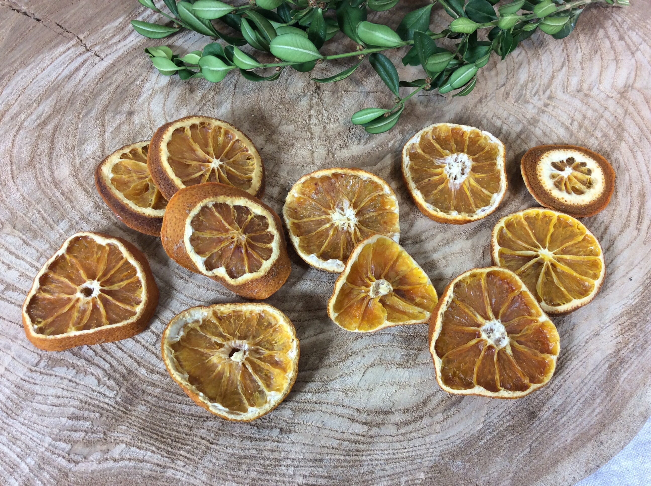 oven dried clementines oven dried clementines