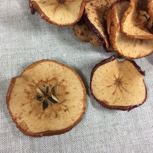 10 Dried Apple slices Floral Supply