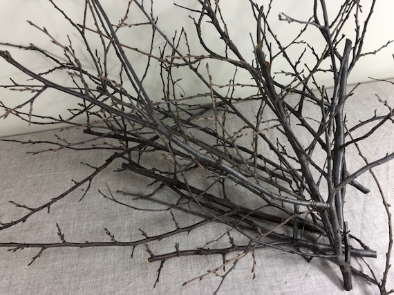 Branches Twigs Floral Decor Craft 1216 1/2 Rustic Bunch Sticks Long  Straight 