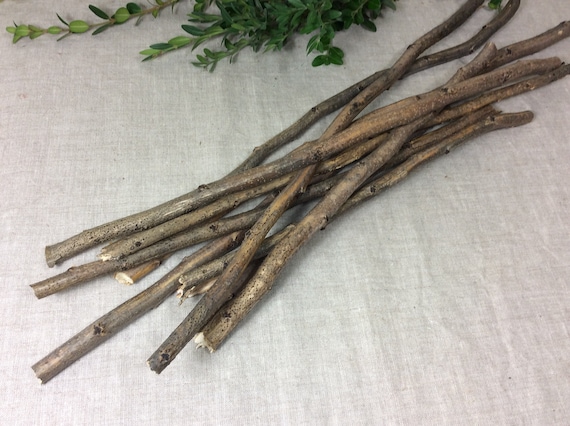 Branches Twigs Floral Decor Craft 1216 1/2 Rustic Bunch Sticks Long  Straight 