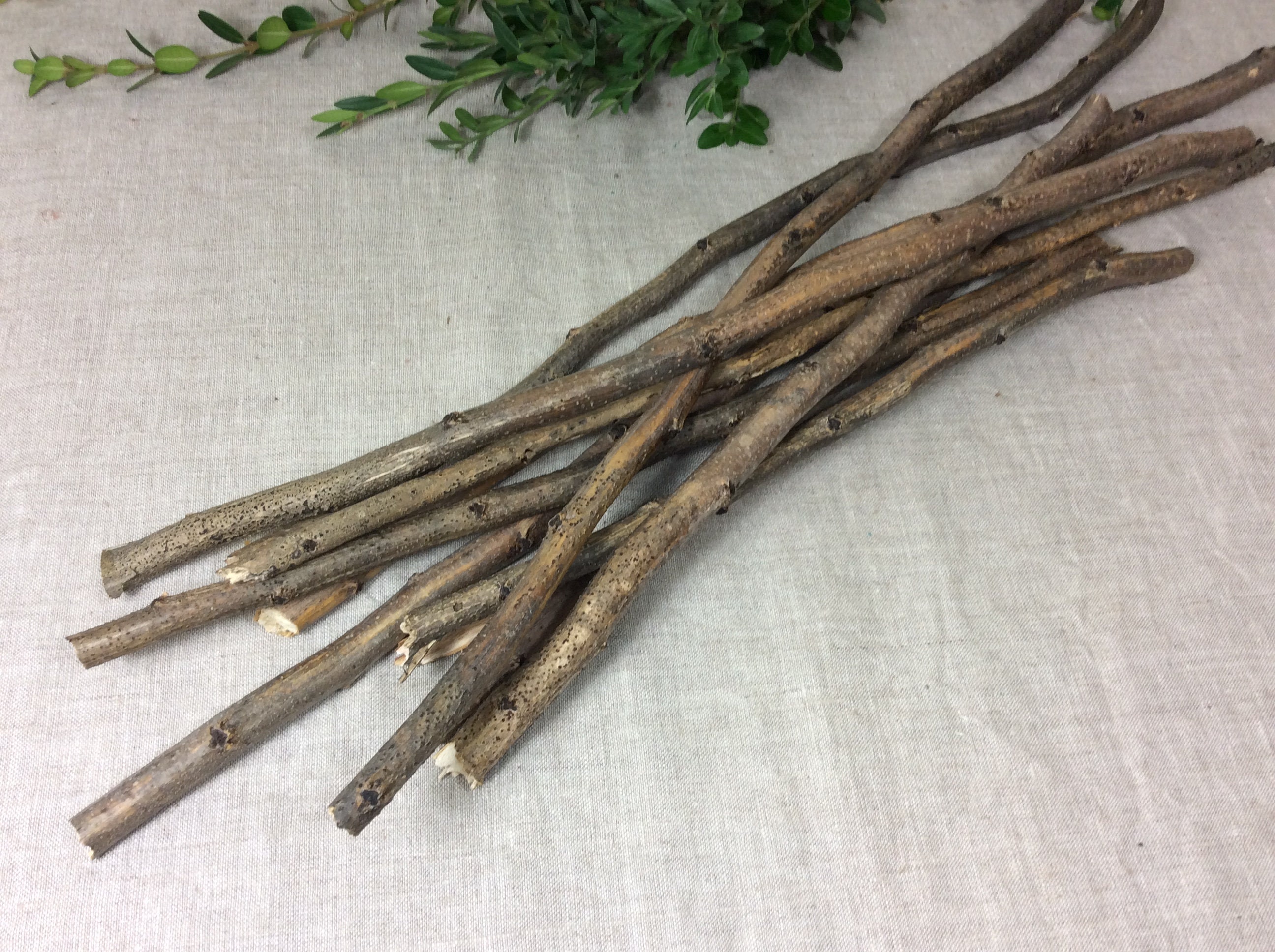 Cherry tree twigs, craft sticks and branches, twig craft supplies, natural  craft supplies, florist's supply