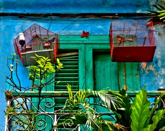 Cuba Art, Cuba Photography, Havana Cuba Picture, Bird Cages, Cuba Travel Photo, Cuba Art Print, Havana Picture, Urban Art, Cuba Wall Art