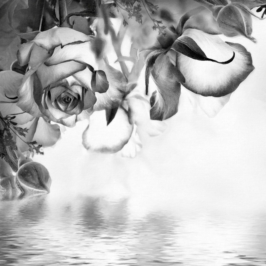 Black and White Roses, Rose Wall Art, Flower Wall Decor, Floral Wall