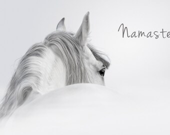 Horse Picture, Namaste Art, Inspirational Wall Art, Horse Photography, Yoga Wall Art, Black White Horse Print