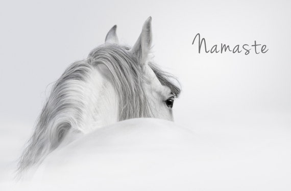 Horse Picture, Namaste Art, Inspirational Wall Art, Horse Photography, Yoga Wall Art, Black White Horse Print