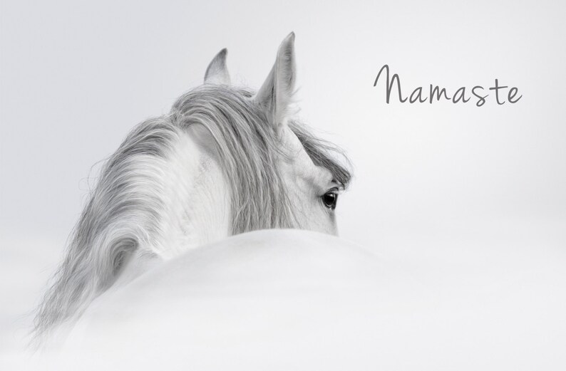 Pu&ograve; includere: Un cavallo bianco con una lunga criniera e coda &egrave; parzialmente nascosto nella neve. Il cavallo guarda a destra, e il suo occhio &egrave; visibile. La parola "Namaste" &egrave; scritta in grigio nell'angolo in alto a destra dell'immagine.