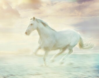 Nature Photography, Horse Art, Nursery Wall Art, Girlfriend Gift, Girl's Room Decor, Coastal Wall Decor, White Horse Photo, Pastel Wall Art