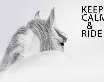 Horse Picture, Horse Gift, Girls Room Art,  Keep Calm Quote, Black White Horse Photo, Girls Room Decor, Horse Photography