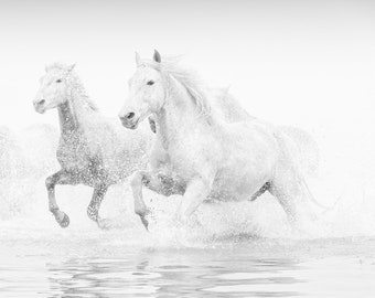 Black White Horse Picture, Horse Art, Horse Print, Camargue Horses, Girls Room Decor, Office Wall Art, Large Wall Art, Living Room Decor