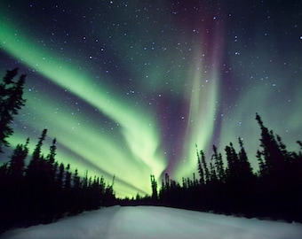 Northern Lights Photography, Aurora Borealis, Night Photography, Aurora Landscape Photo, Northern Lights Landscape, Night Sky Photo, Alaska