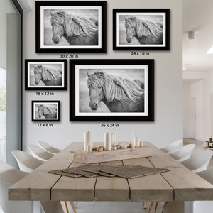 May include: A black and white photograph of a horse with a long flowing mane. The horse is looking to the left of the frame. The photo is framed in a black frame. The photo is available in several sizes: 12 x 8 inches, 18 x 12 inches, 24 x 16 inches, 30 x 20 inches, and 36 x 24 inches.