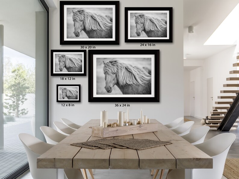 May include: A black and white photograph of a horse with a long flowing mane. The horse is looking to the left of the frame. The photo is framed in a black frame. The photo is available in several sizes: 12 x 8 inches, 18 x 12 inches, 24 x 16 inches, 30 x 20 inches, and 36 x 24 inches.