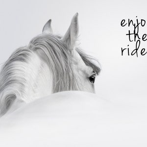 May include: A white horse with a long mane and tail is partially hidden in the snow. The horse's eye is visible, and the text "enjoy the ride" is written in black on a white background.