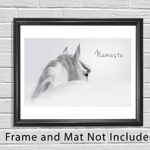 Pu&ograve; includere: Una fotografia in bianco e nero di una testa e un collo di cavallo bianco che spuntano da un cumulo di neve. La criniera del cavallo sventola nel vento. La parola "Namaste" &egrave; scritta nell'angolo in alto a destra dell'immagine.