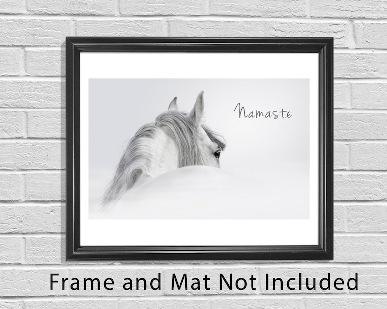 Pu&ograve; includere: Una fotografia in bianco e nero di una testa e un collo di cavallo bianco che spuntano da un cumulo di neve. La criniera del cavallo sventola nel vento. La parola "Namaste" &egrave; scritta nell'angolo in alto a destra dell'immagine.