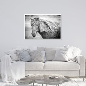 May include: A black and white photograph of a horse with a long flowing mane. The horse is looking to the left of the frame. The photo is framed in a white frame.