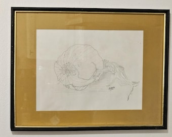 Framed and Matted Pencil Drawing of a Clove of Garlic, signed &quot;Evans&quot;