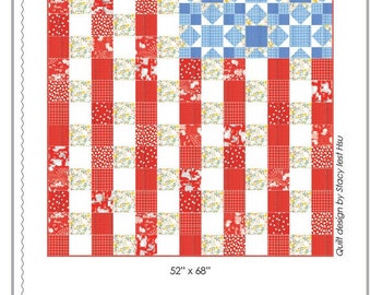 America O' America Stacy Iest Hsu Quilt Pattern PDF