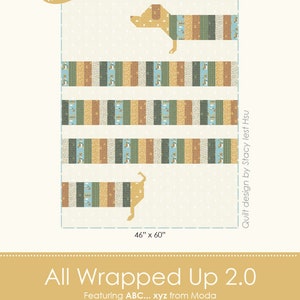 All Wrapped Up 2.0 Jelly Roll Friendly Stacy Iest Hsu Quilt Pattern PDF