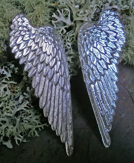 Angelbird wings shop