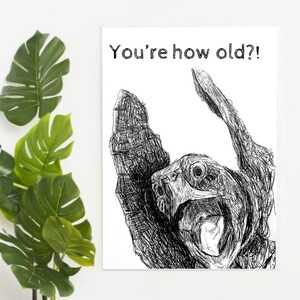 Carte d’anniversaire de tortue