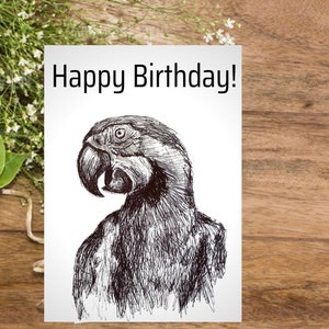 Parrot Card – Hand Drawn Bird Greeting – Customisable Message – Blank Inside with Envelope – Two Sizes Available – Parrot Lovers Gift